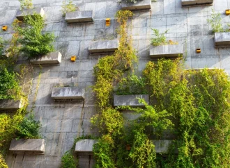 Grüne Fassaden – wie Architektur Fassaden umweltfreundlicher werden